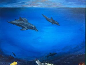 Ocean Habitat