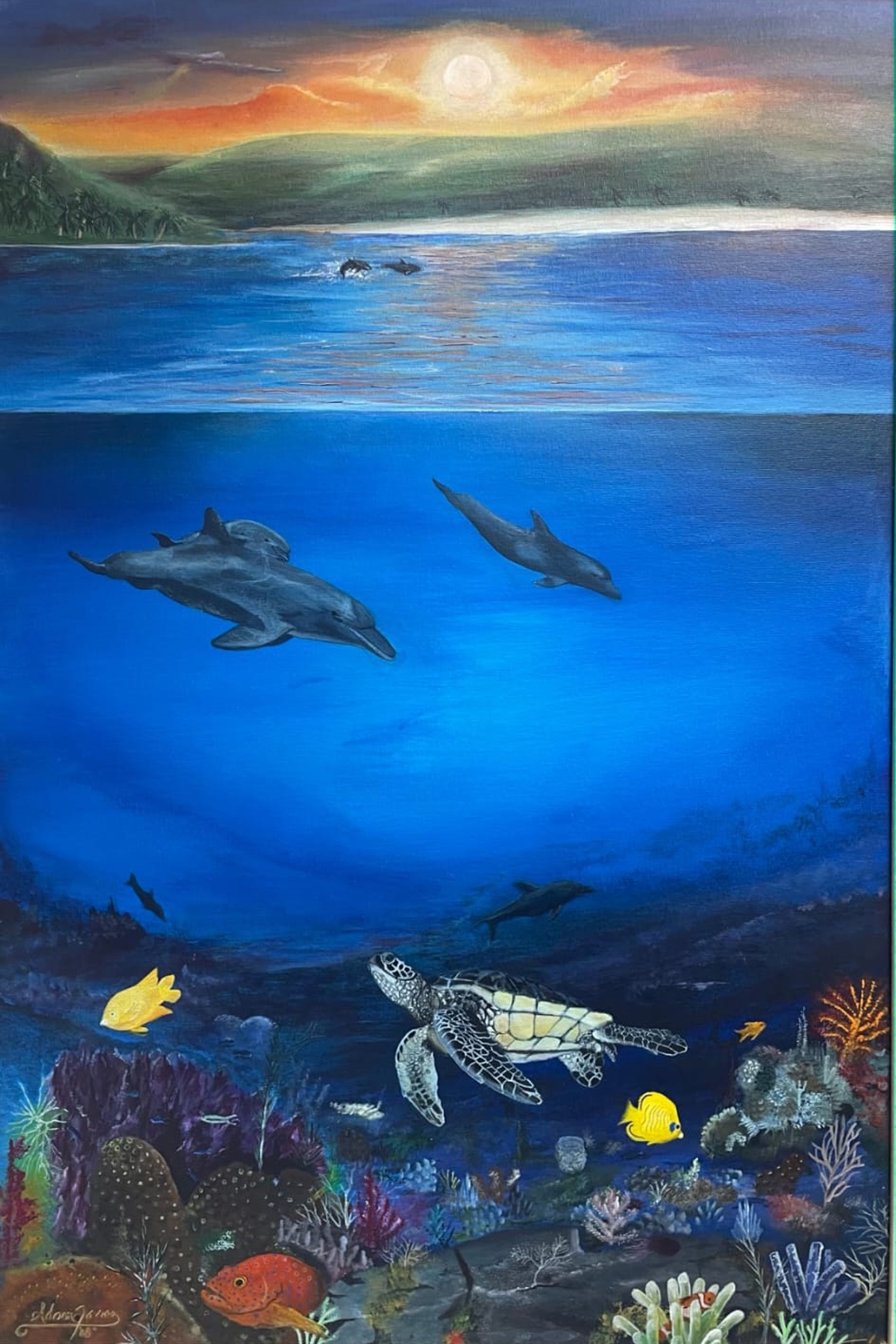 Ocean Habitat
