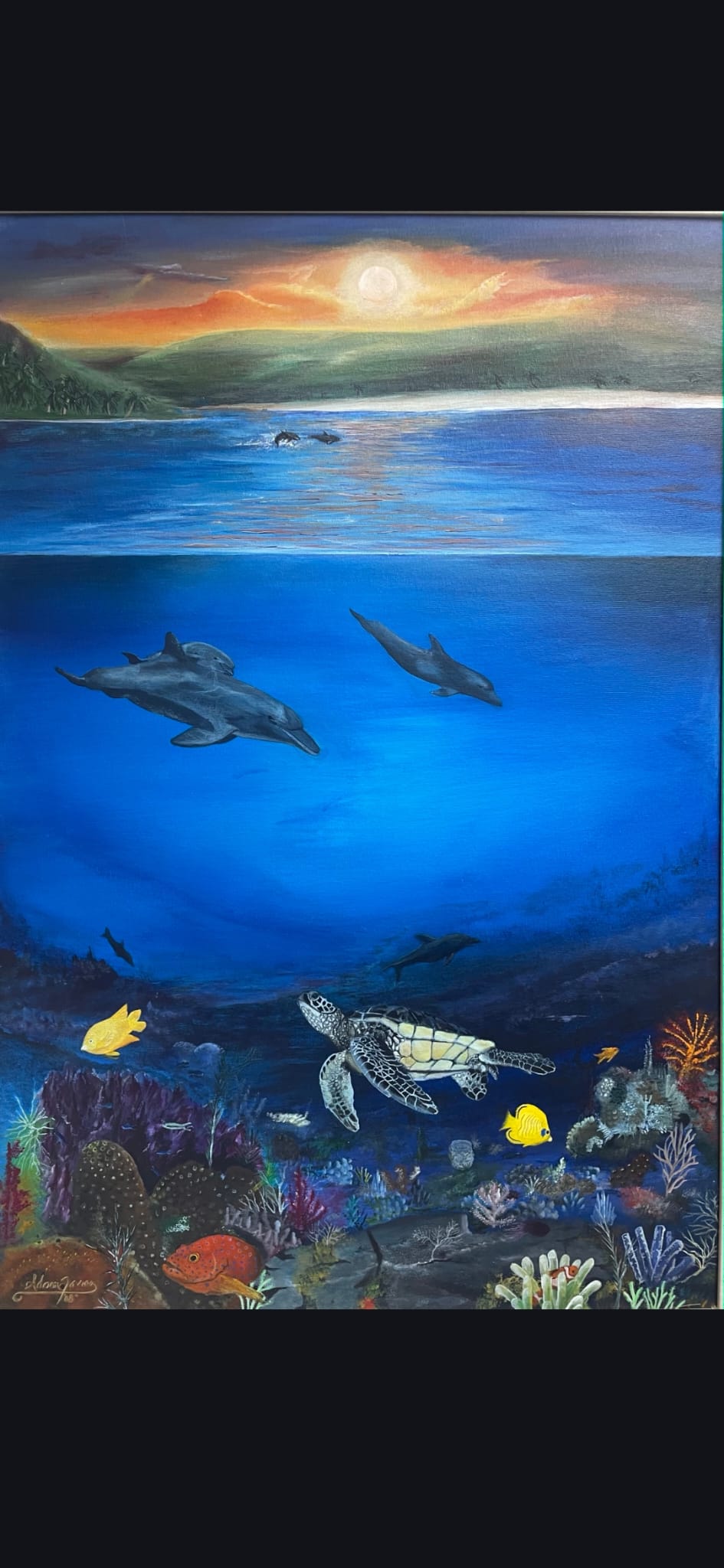 Ocean Habitat