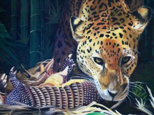 Leopards choice
